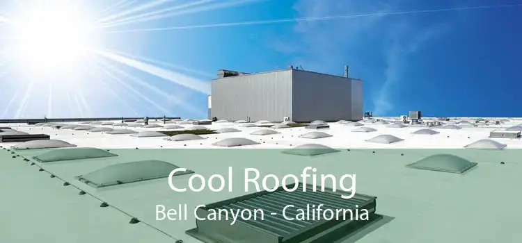 Cool Roofing Bell Canyon - California