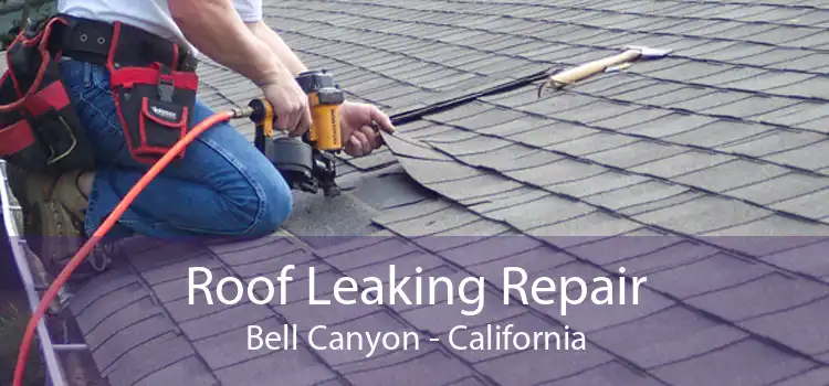 Roof Leaking Repair Bell Canyon - California