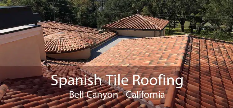 Spanish Tile Roofing Bell Canyon - California